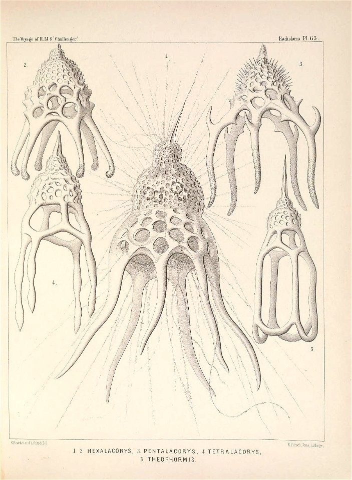 n272_w1150