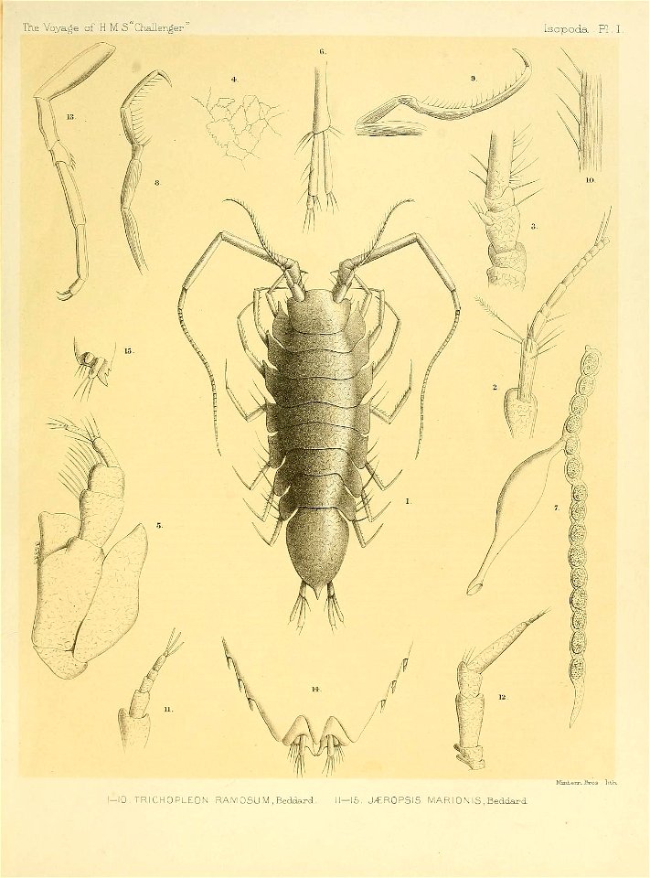 n194_w1150