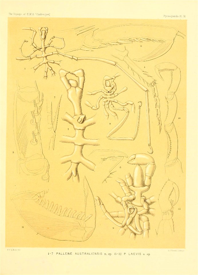 n196_w1150