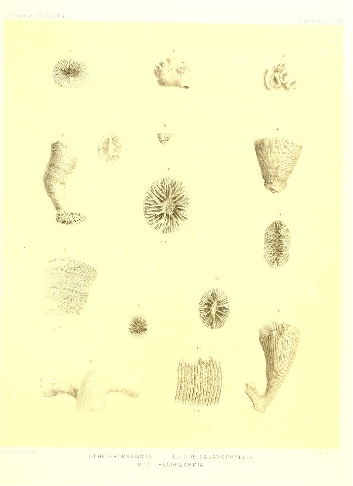 n316_w1150