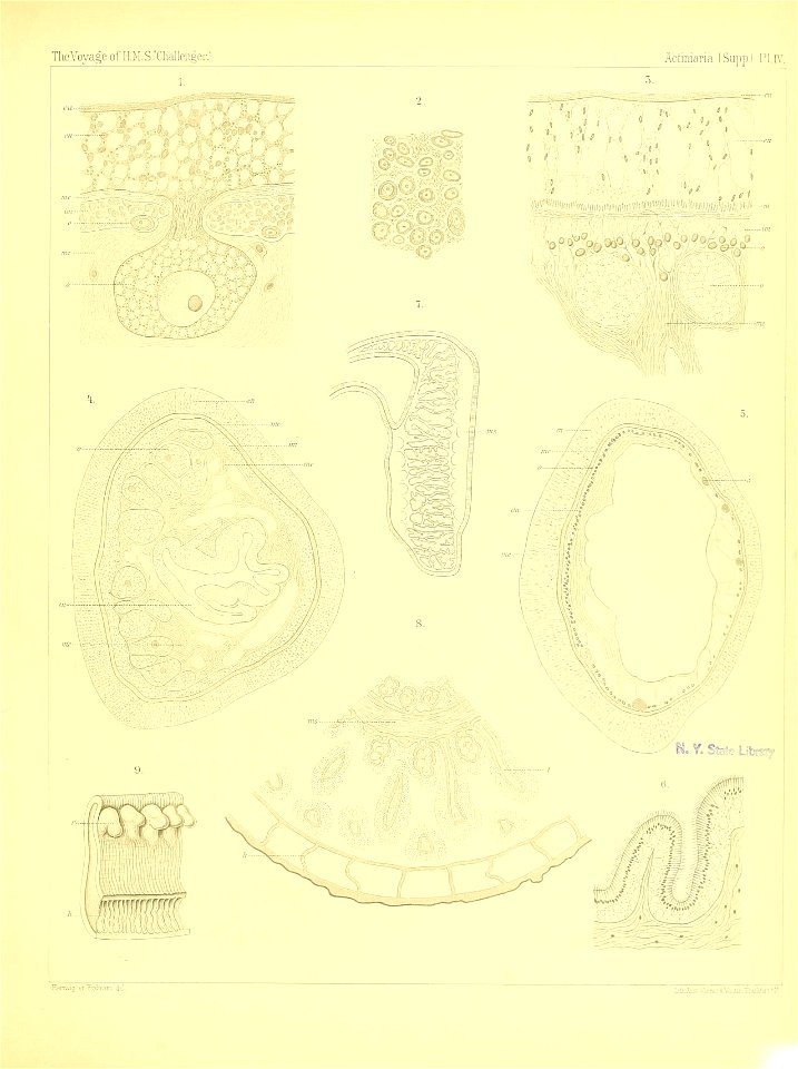 n268_w1150