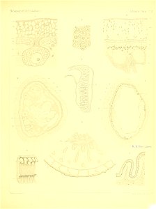 n268_w1150