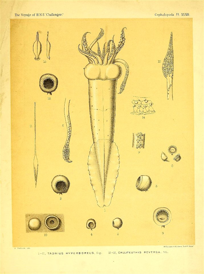 n398_w1150