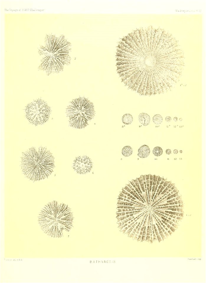 n314_w1150