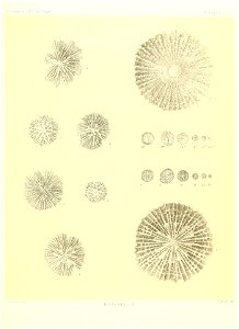 n314_w1150