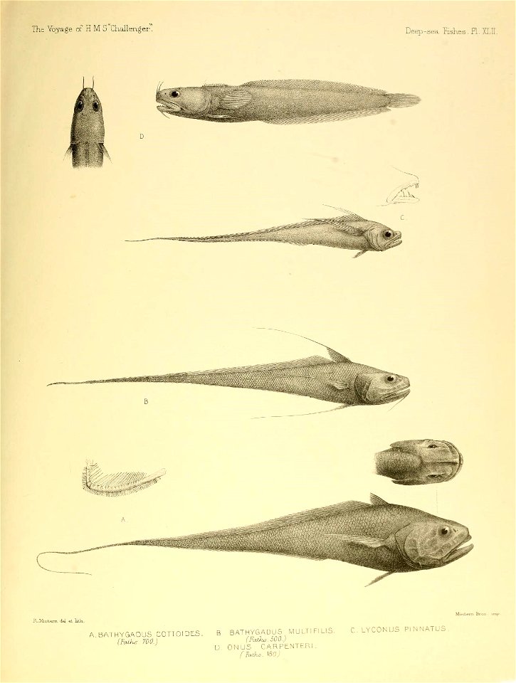 n622_w1150