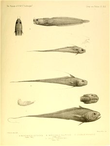 n622_w1150