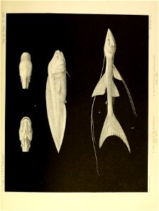 n544_w1150