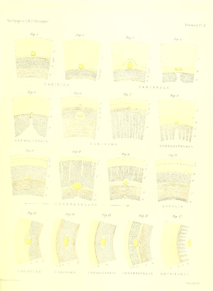 n208_w1150