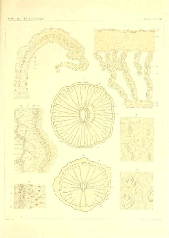 n202_w1150