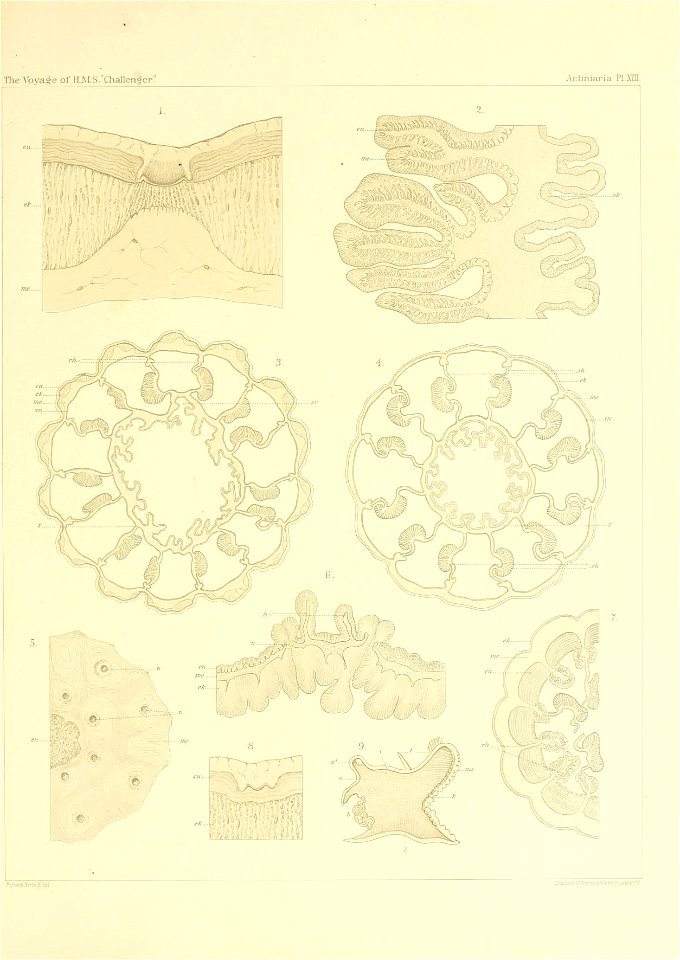 n198_w1150