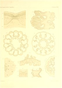 n198_w1150