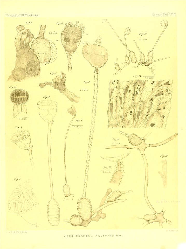 n192_w1150