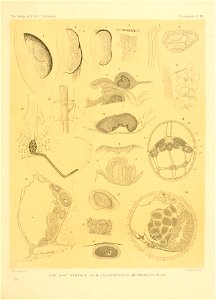 n216_w1150