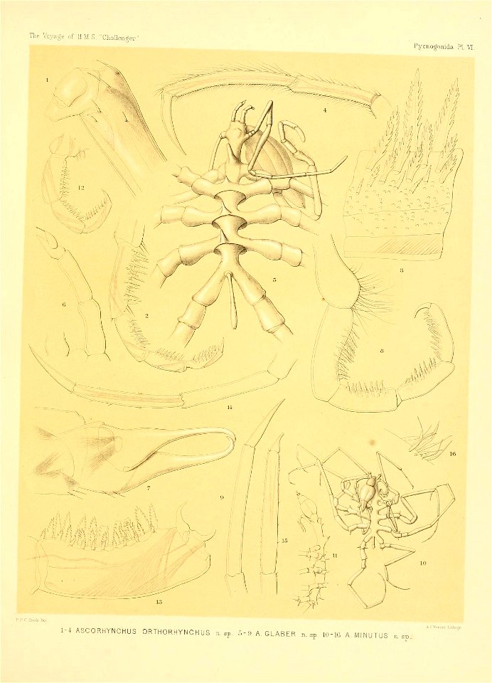 n186_w1150