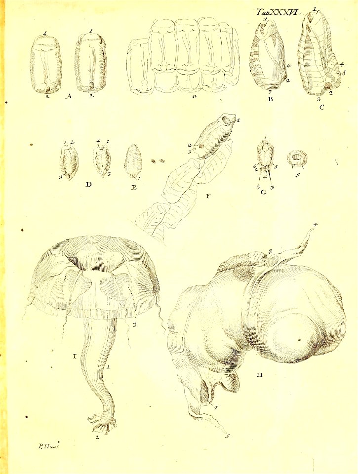 n106_w1150