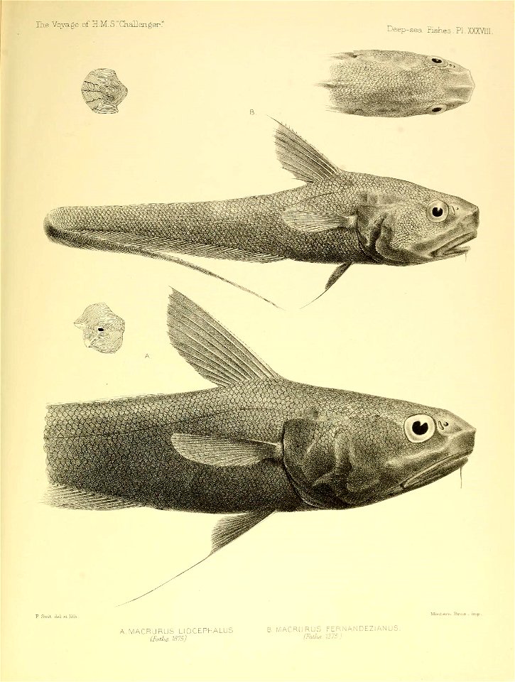 n602_w1150