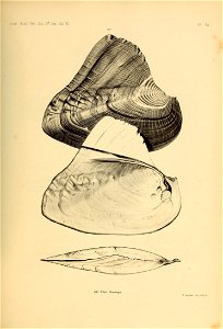 n492_w1150