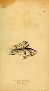 n428_w1150
