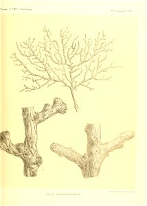 n498_w1150