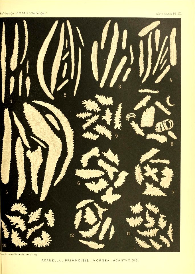 n438_w1150