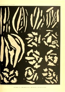 n438_w1150