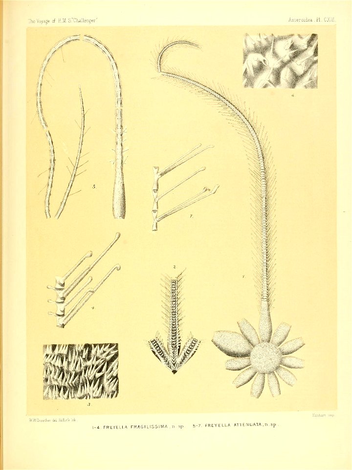 n468_w1150