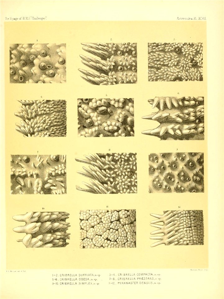 n408_w1150