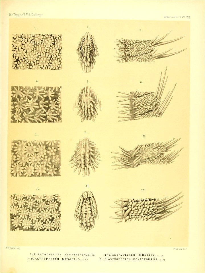 n166_w1150