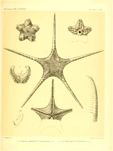 n106_w1150