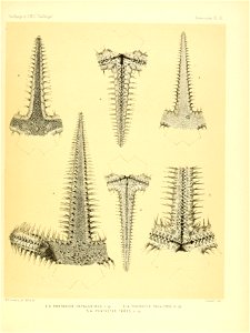 n46_w1150