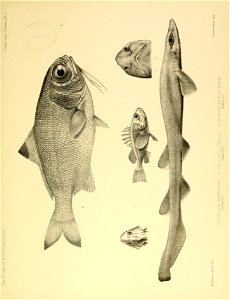 n418_w1150