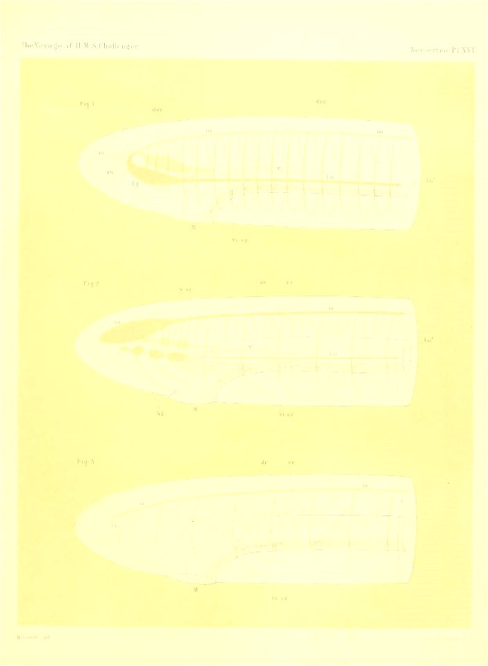 n228_w1150