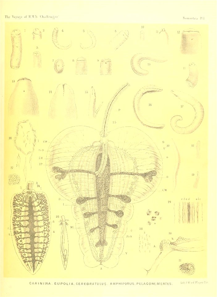 n168_w1150