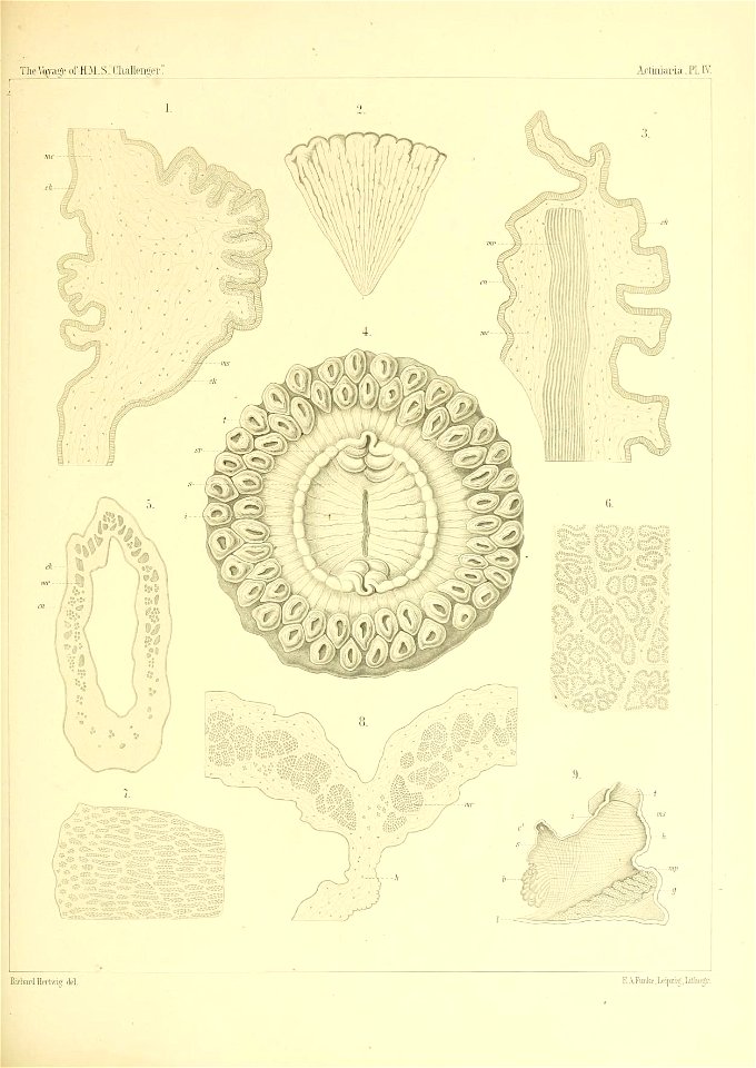 n162_w1150
