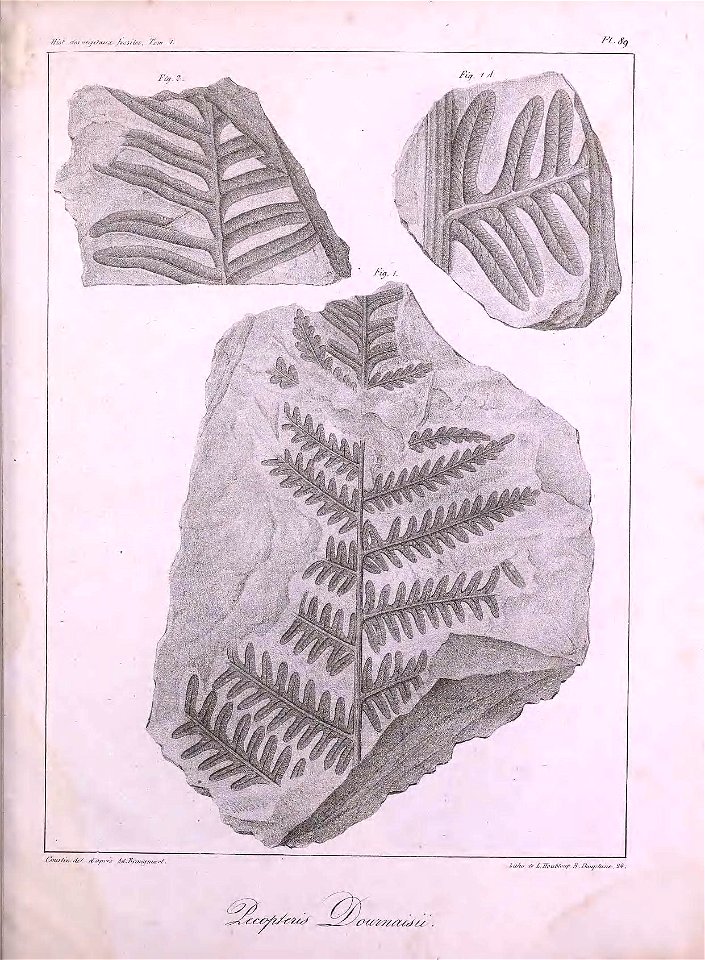 n504_w1150