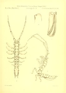 n316_w1150