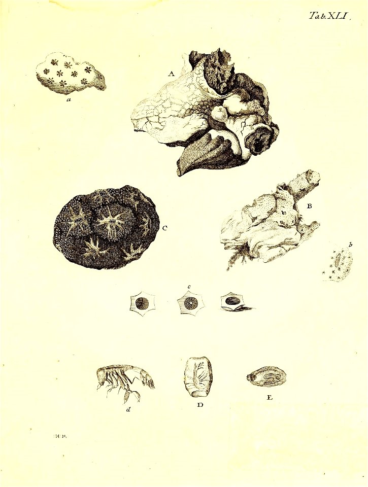 n116_w1150