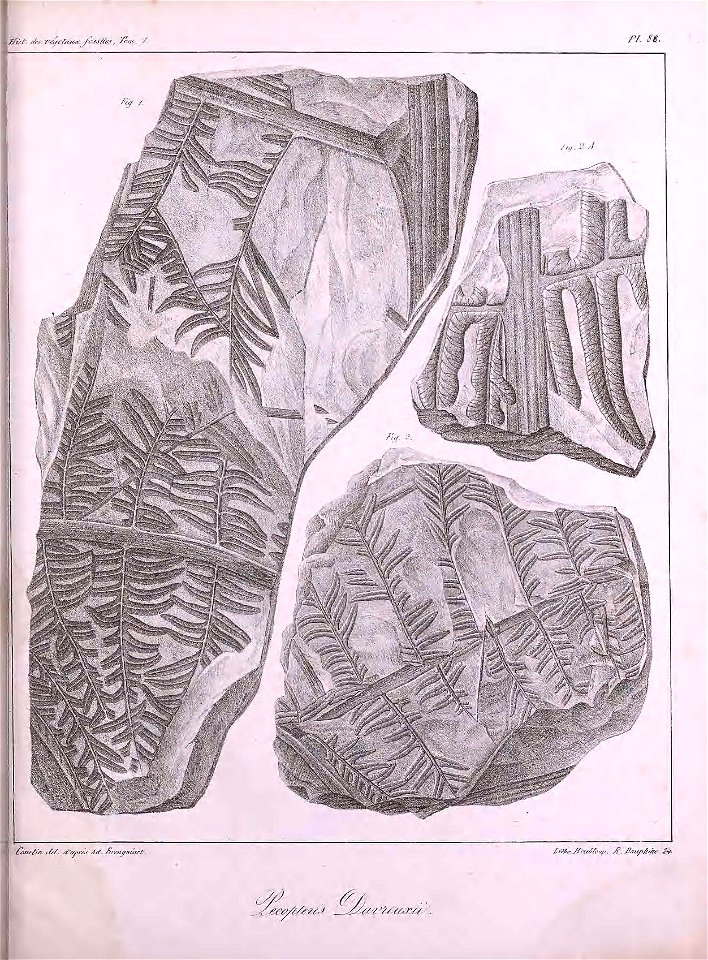 n502_w1150
