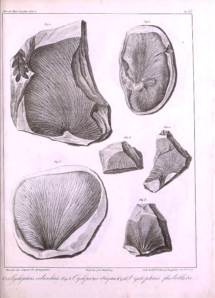 n442_w1150