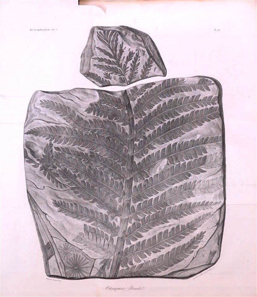 n472_w1150