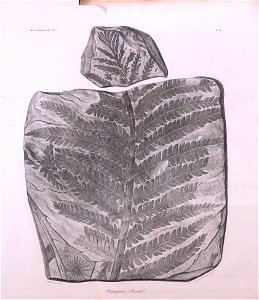 n472_w1150