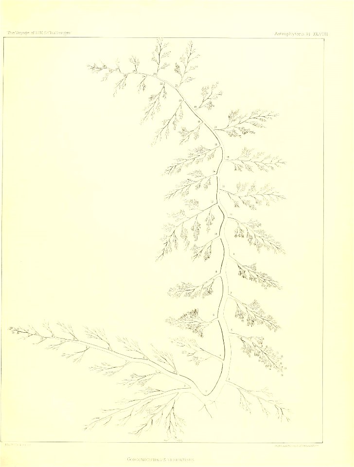 n486_w1150