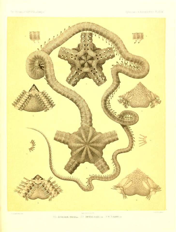 n456_w1150