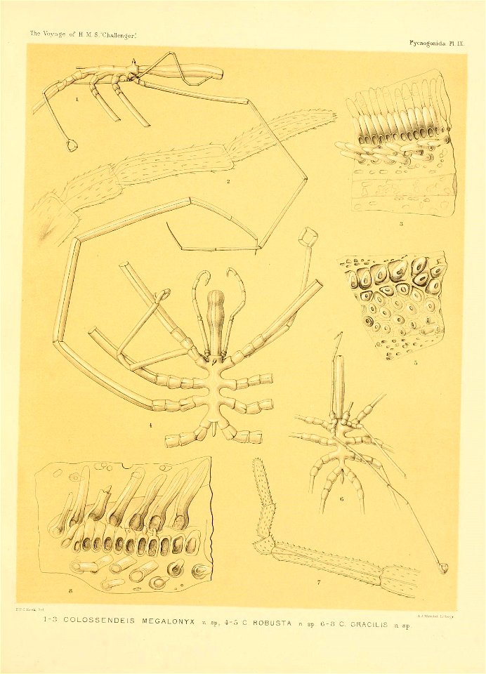 n192_w1150