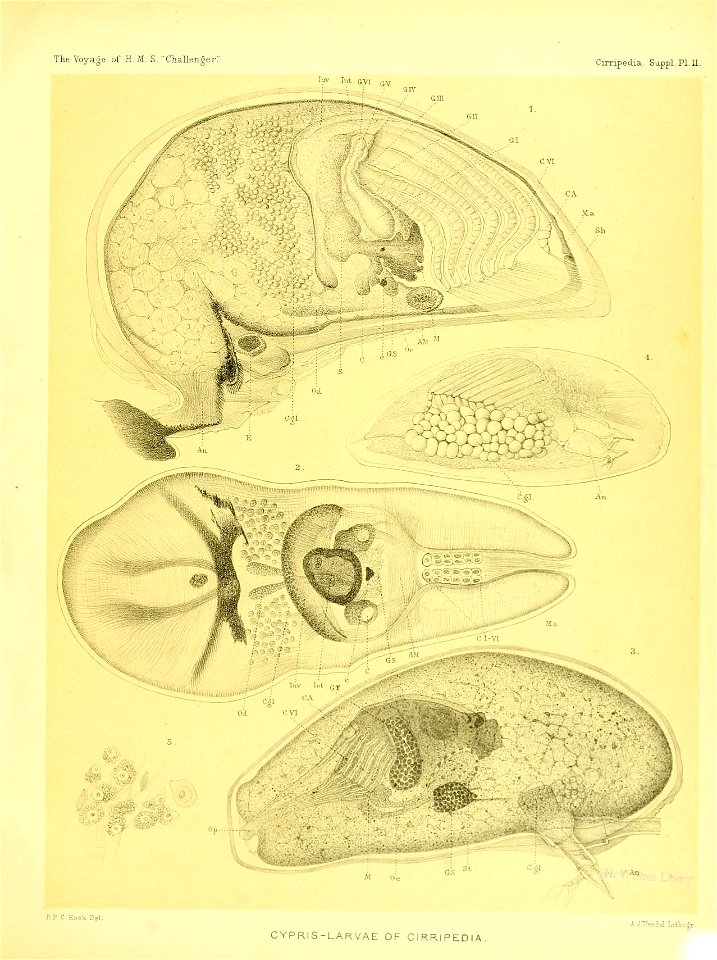 n388_w1150