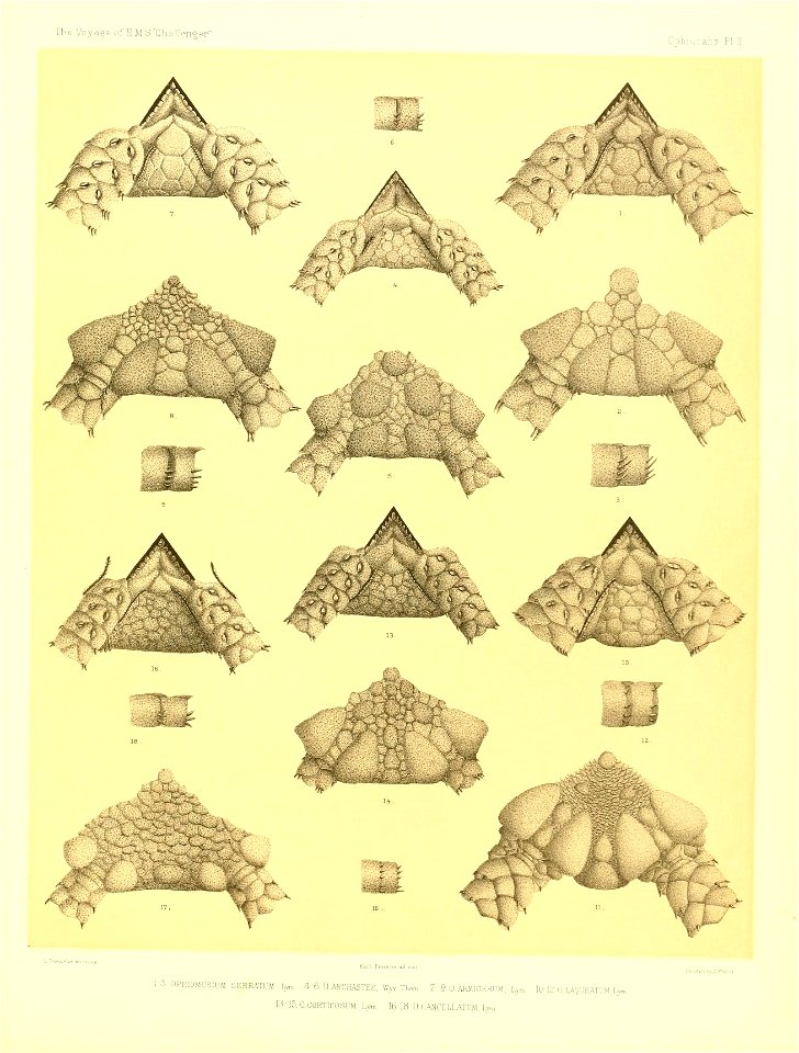 n394_w1150
