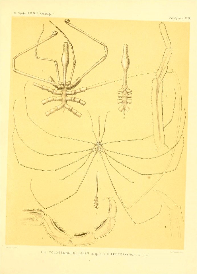 n190_w1150