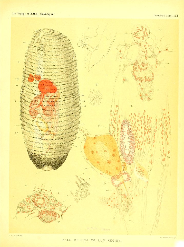 n384_w1150