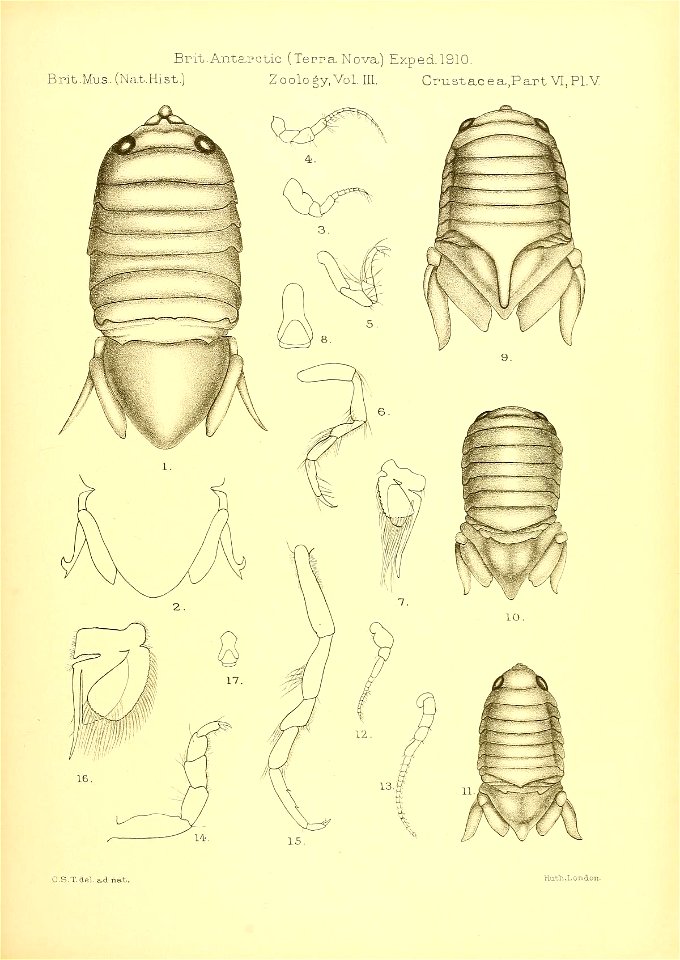 n304_w1150